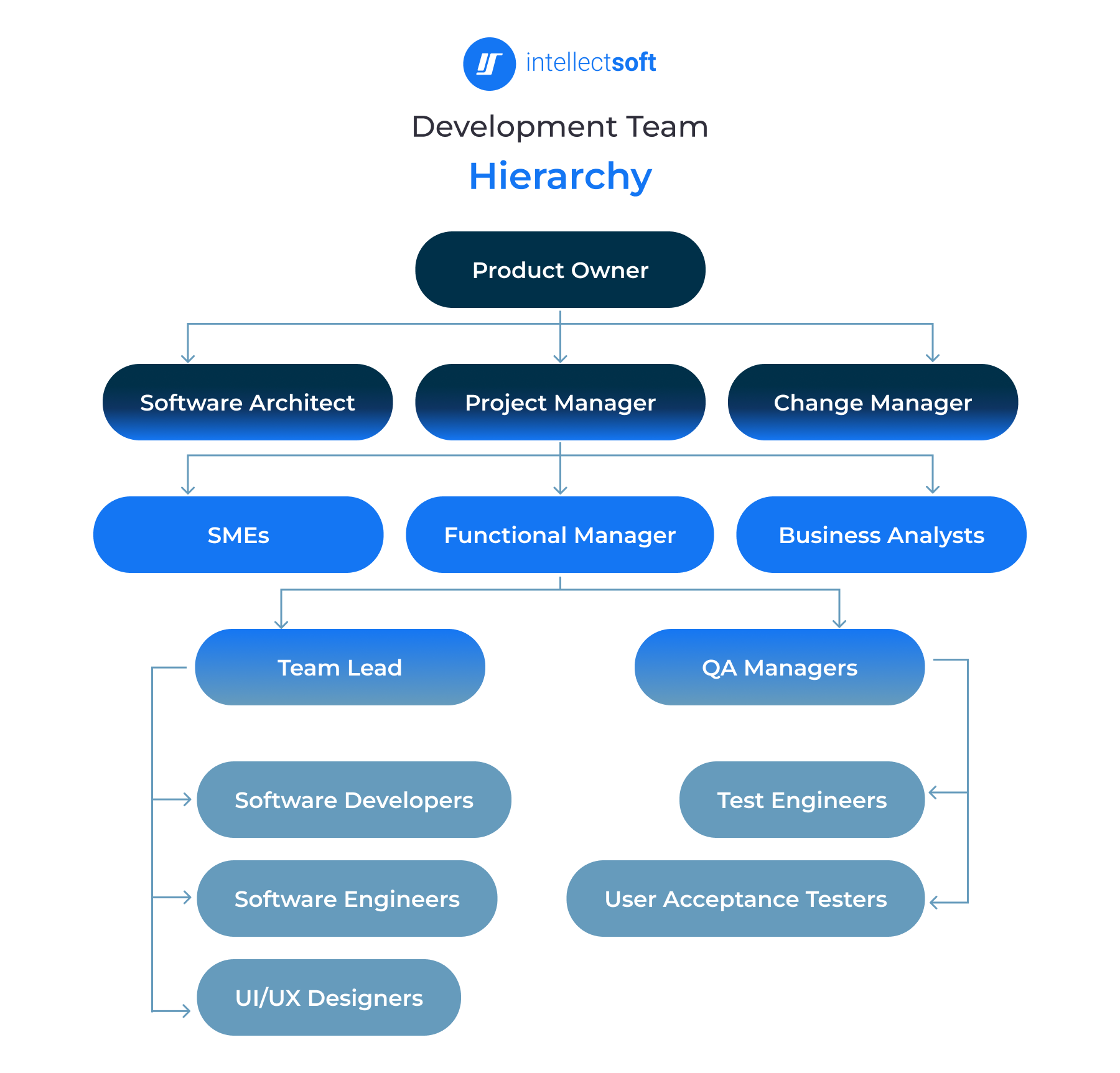 Development Team Hierarchy