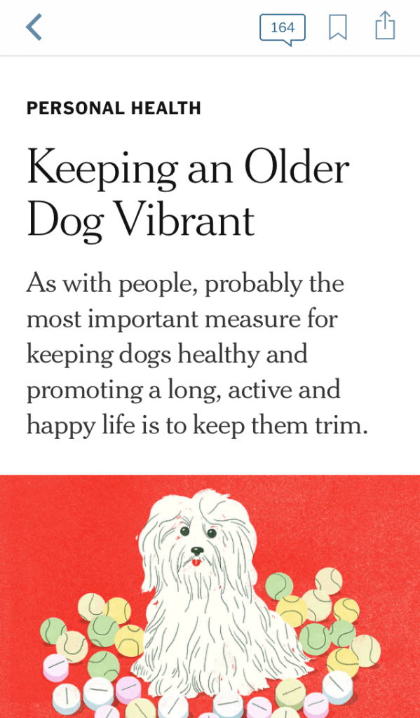 New York Times news app